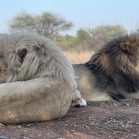 Simba Safaris African Pride Exotic Lodge Lephalale Eksteriør billede