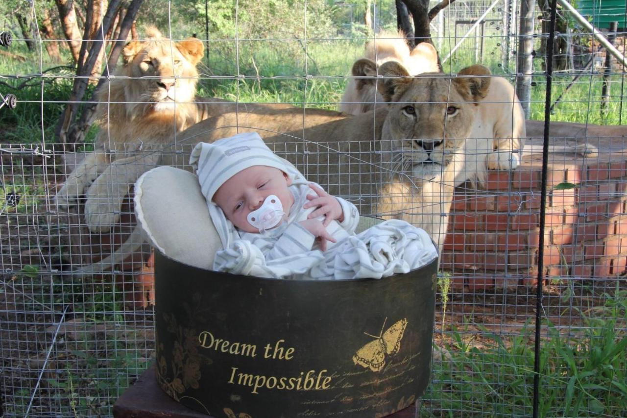 Simba Safaris African Pride Exotic Lodge Lephalale Eksteriør billede