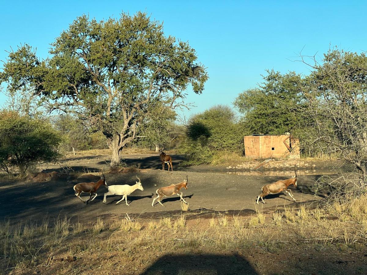 Simba Safaris African Pride Exotic Lodge Lephalale Eksteriør billede