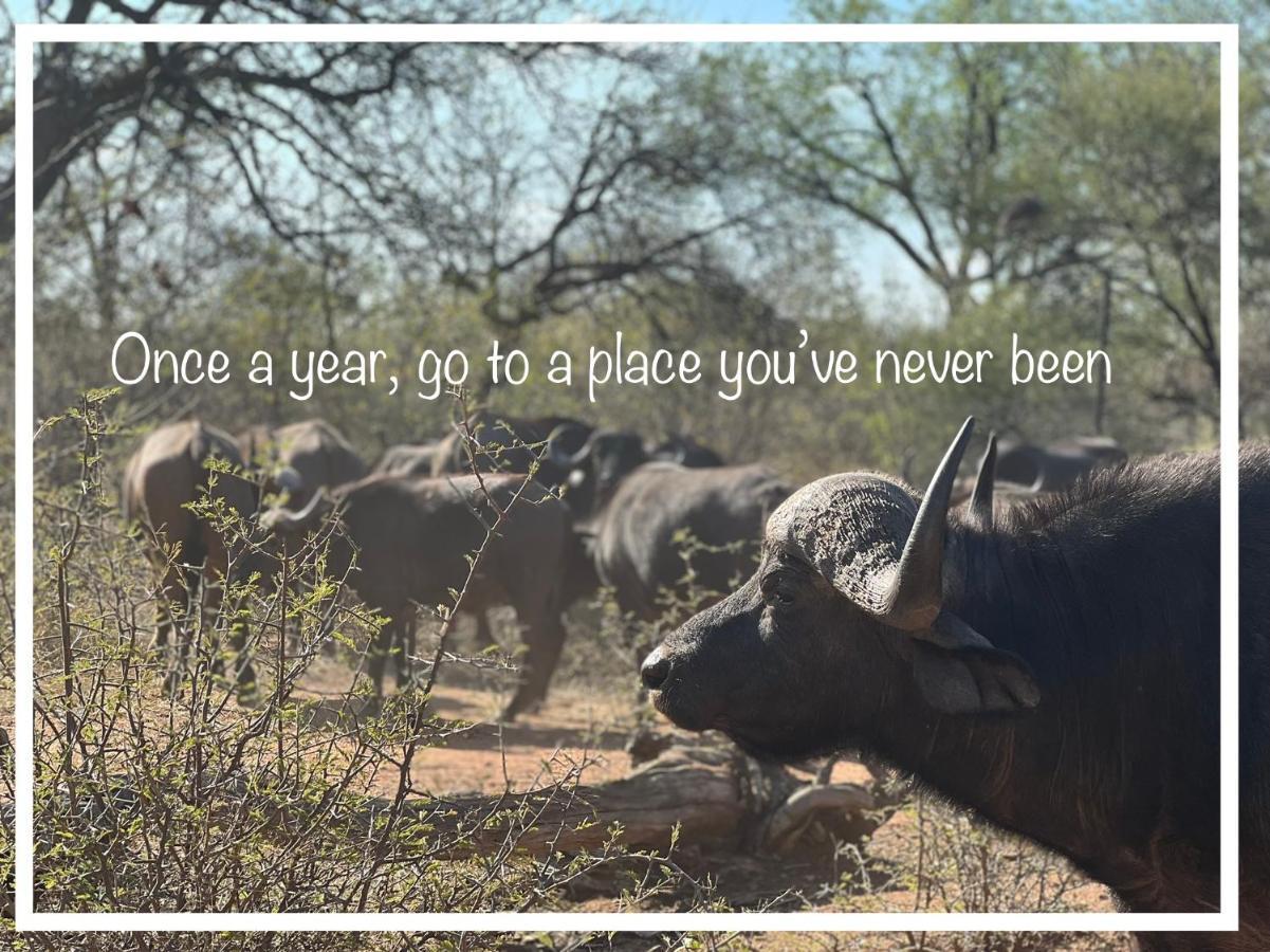 Simba Safaris African Pride Exotic Lodge Lephalale Eksteriør billede