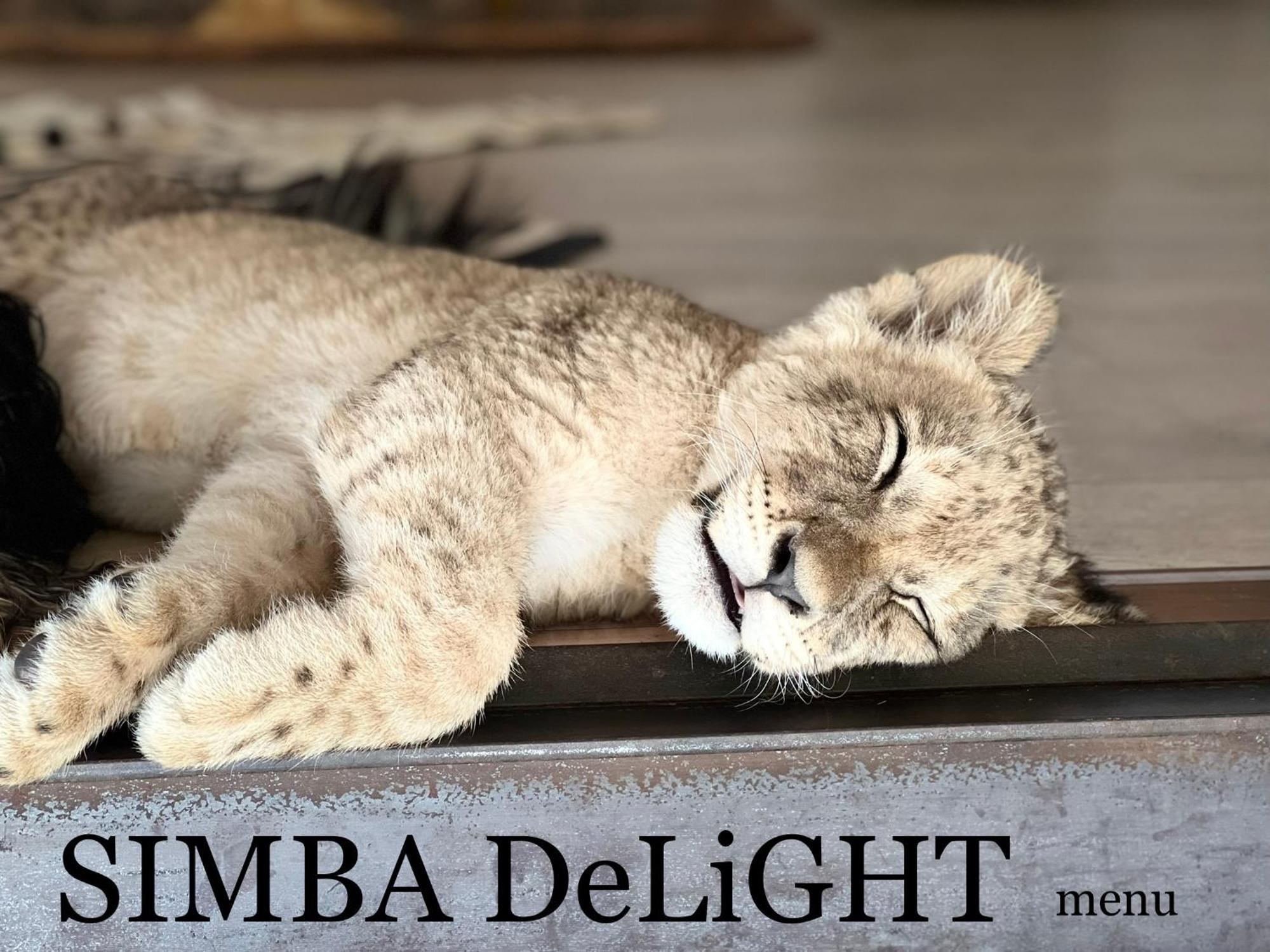 Simba Safaris African Pride Exotic Lodge Lephalale Eksteriør billede