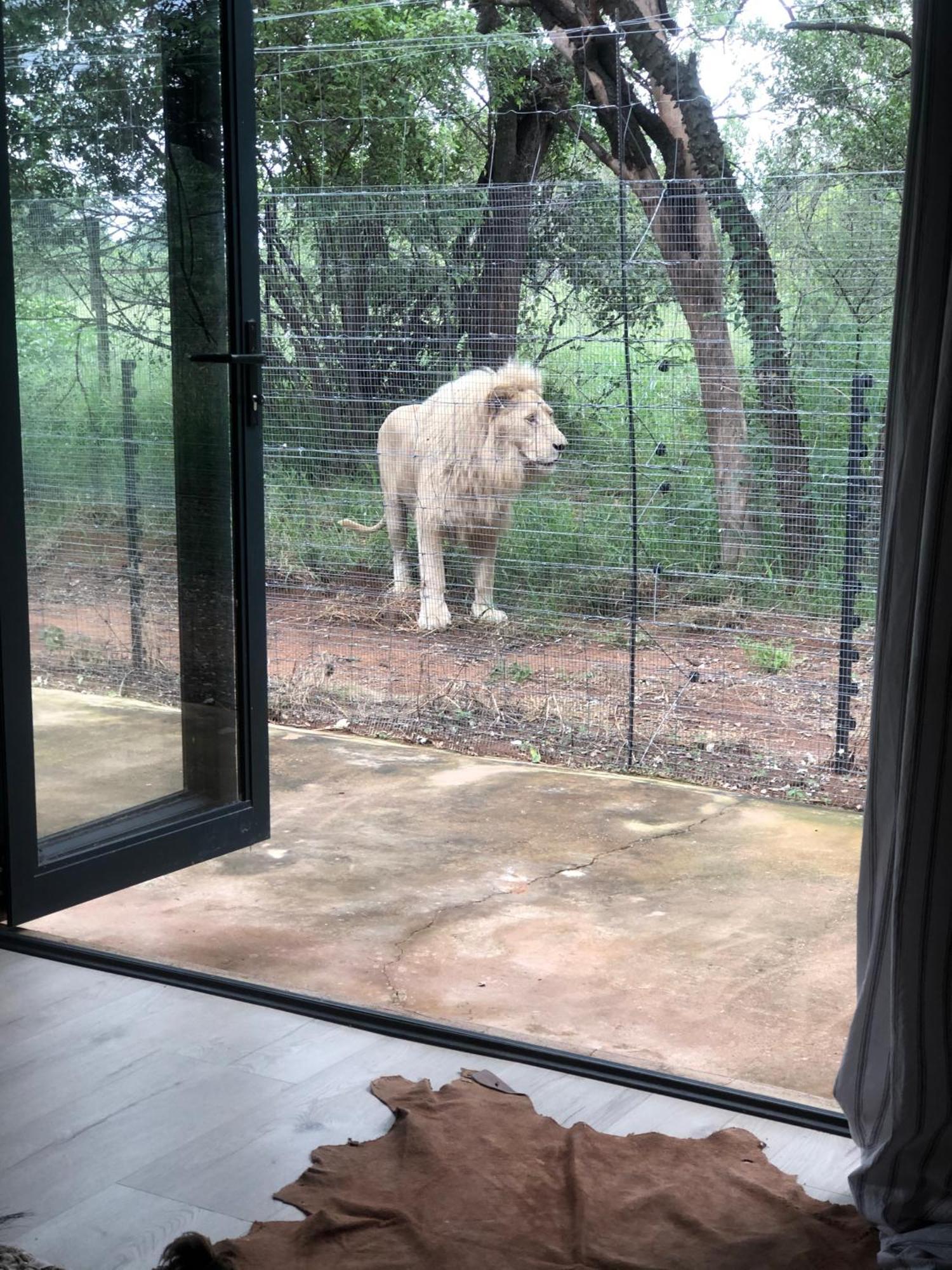 Simba Safaris African Pride Exotic Lodge Lephalale Eksteriør billede