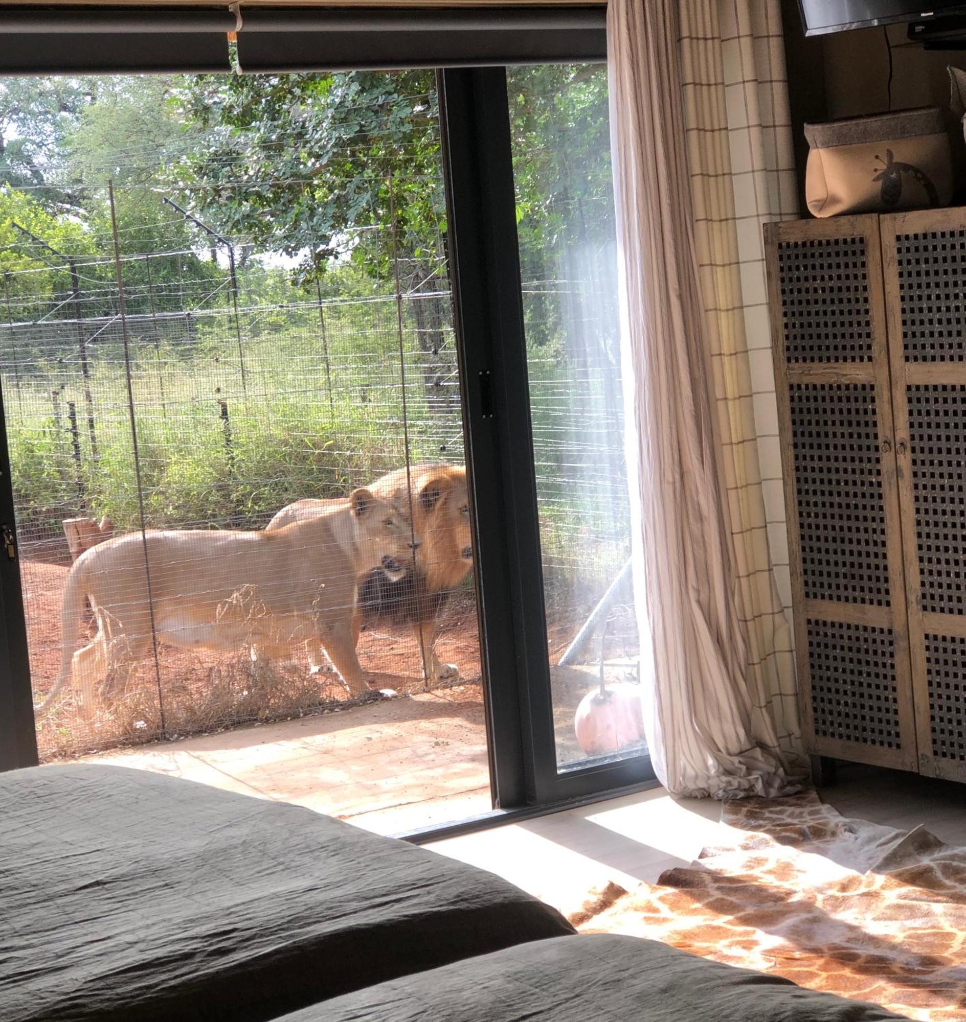 Simba Safaris African Pride Exotic Lodge Lephalale Eksteriør billede