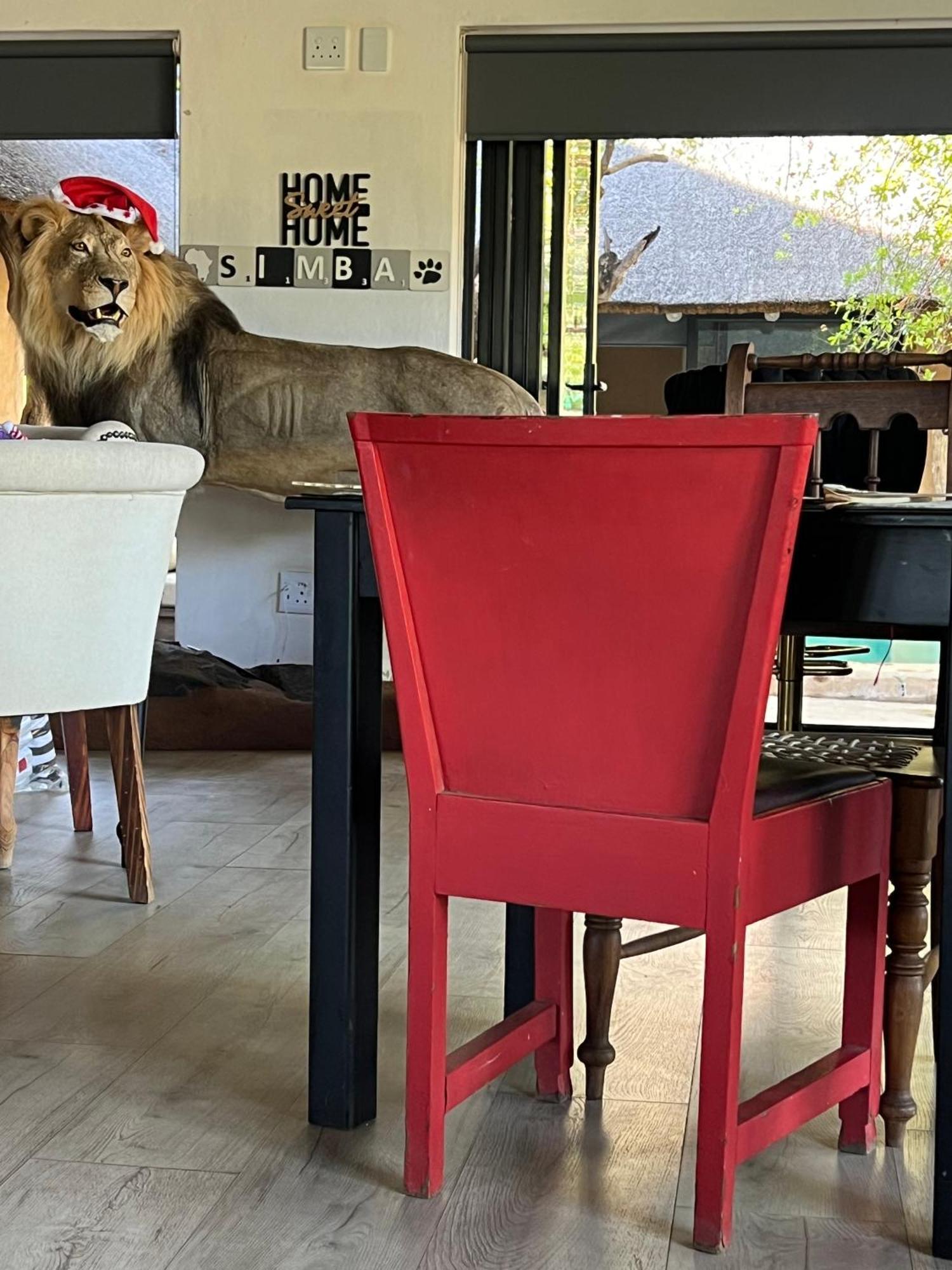 Simba Safaris African Pride Exotic Lodge Lephalale Eksteriør billede