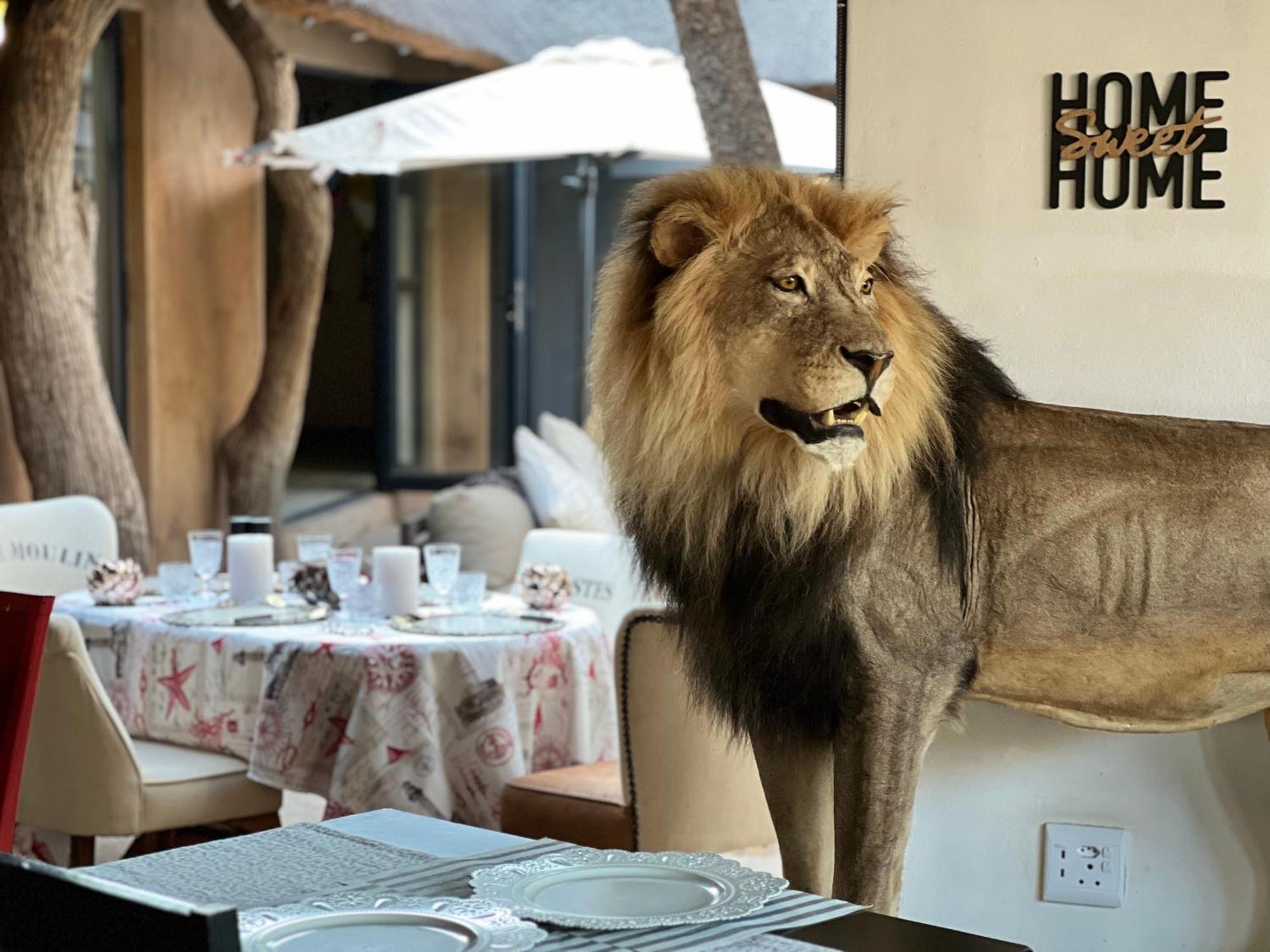 Simba Safaris African Pride Exotic Lodge Lephalale Eksteriør billede
