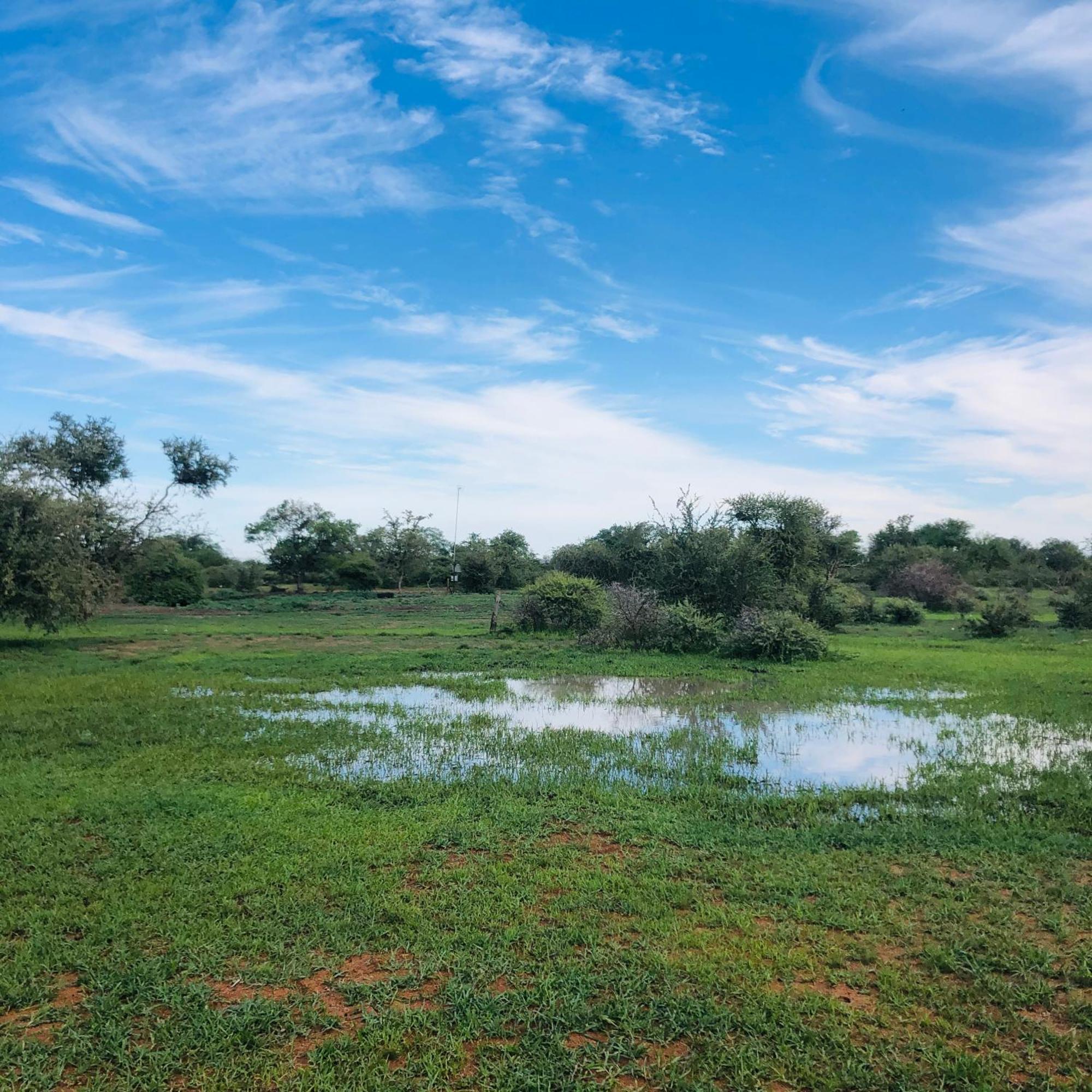 Simba Safaris African Pride Exotic Lodge Lephalale Eksteriør billede