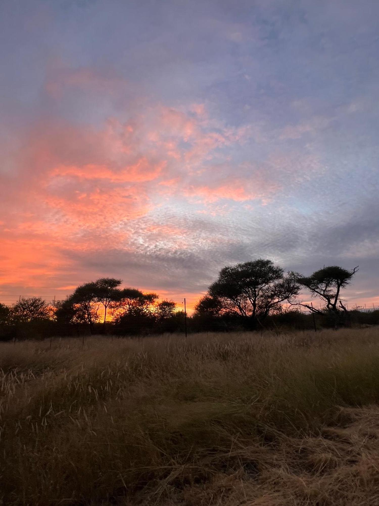 Simba Safaris African Pride Exotic Lodge Lephalale Eksteriør billede